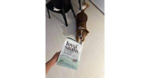 pressrelease_580274_1770141683jpeg - PR DailyWire